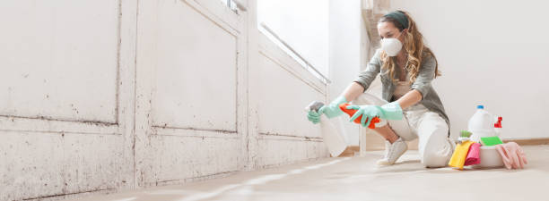 Best Mold Remediation for Healthcare Facilities  in Cedar Ridge, CA